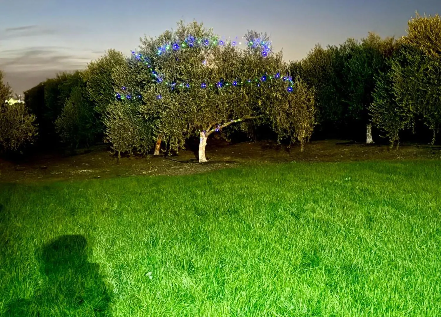 Holiday home La Casa Del Flamenco Villa Canada del Rabadan Spain