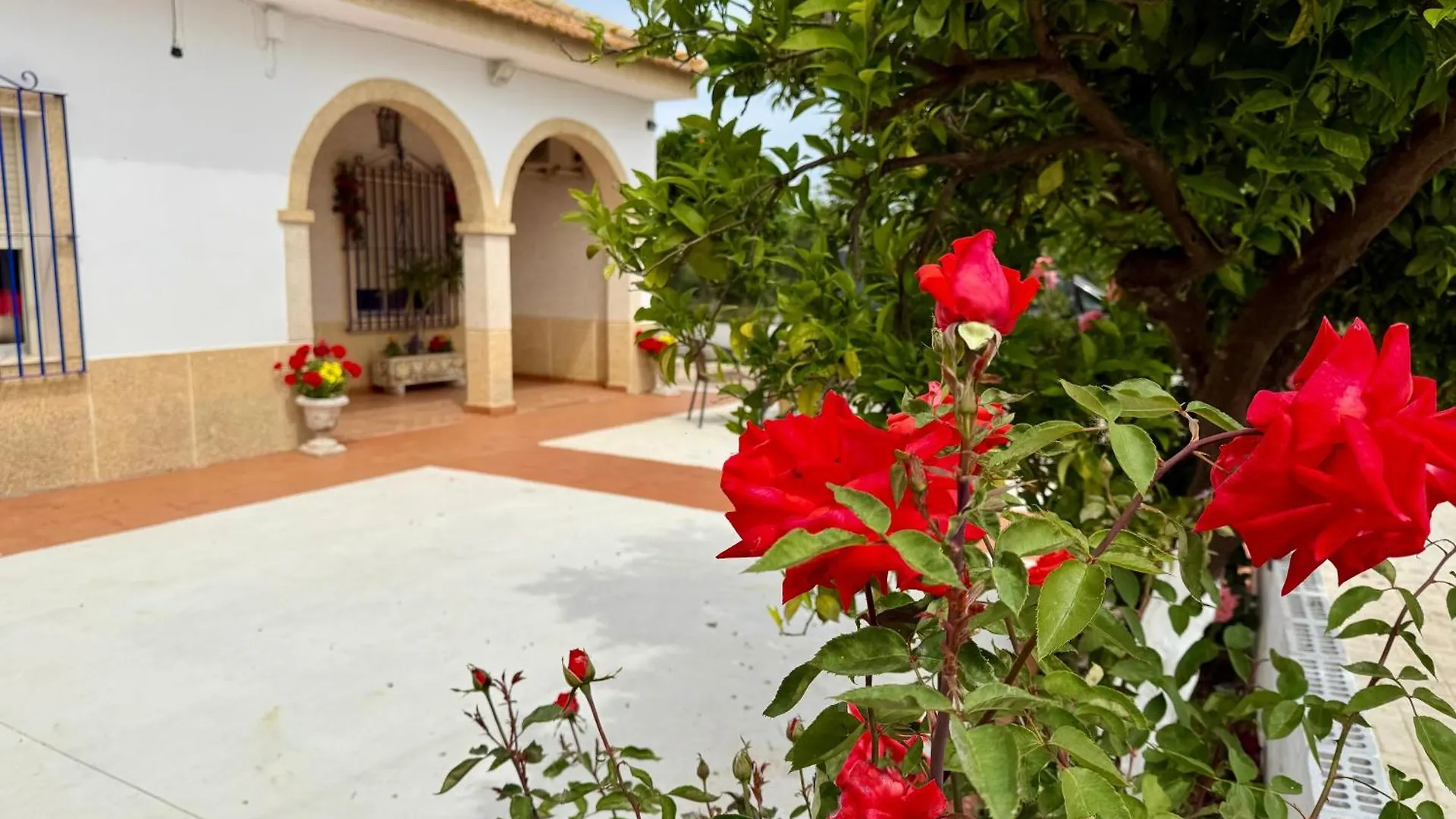 La Casa Del Flamenco Villa Cañada del Rabadán Spanje