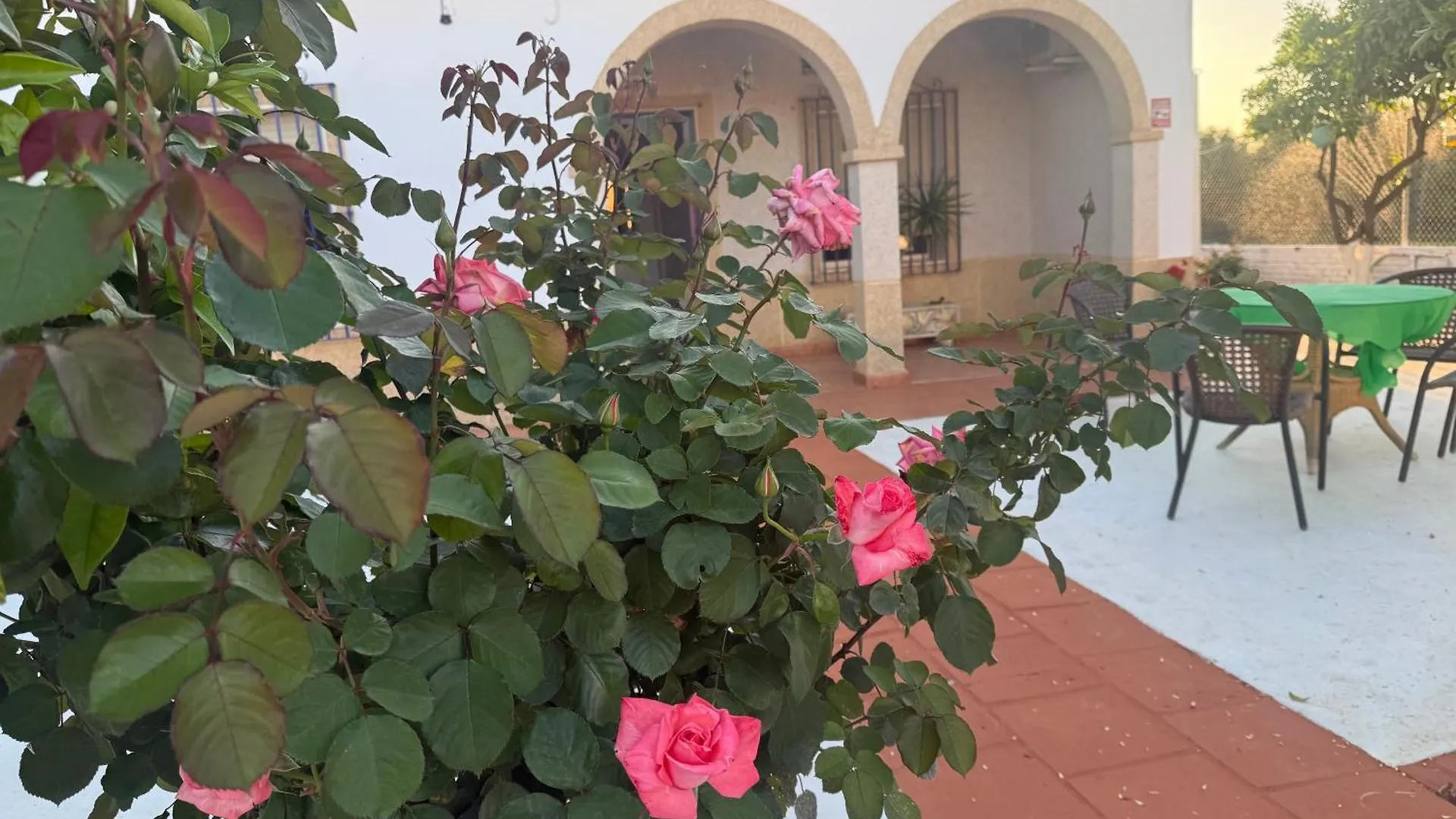 Дом отдыха Вилла La Casa Del Flamenco Каньяда-дель-Рабадан Испания
