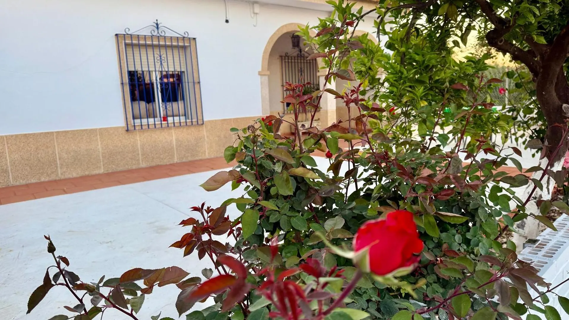 Вилла La Casa Del Flamenco Каньяда-дель-Рабадан Дом отдыха